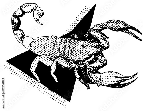 Scorpion detail against geometric shapes for wildlife illustration