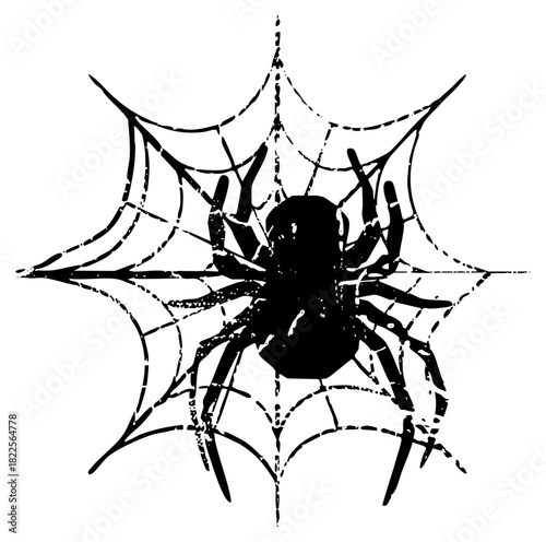 Spider clings to web in illustration