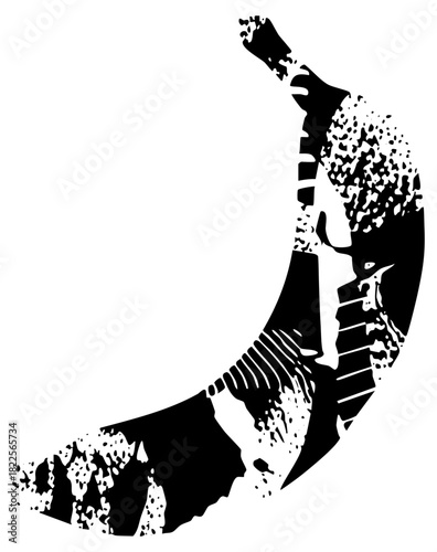 Face Portrait Reveals Silhouette in Abstract Composition