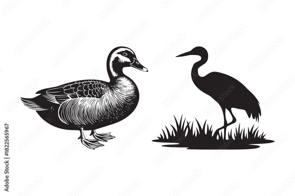 Obraz premium Vintage style illustration of a duck and a crane silhouette