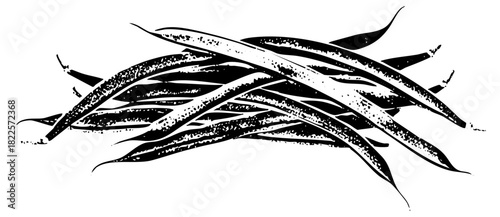 Green beans arrange organically in a still life