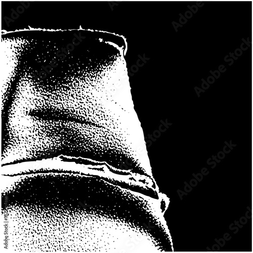 Face profile observes intently in stark