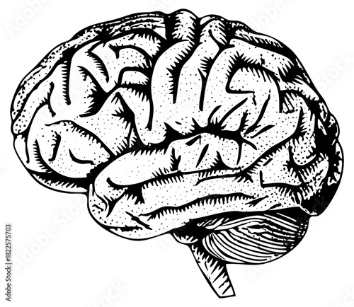 Human brain illustrates complexity in medical science