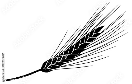 Wheat stalk flourishes in agricultural illustration