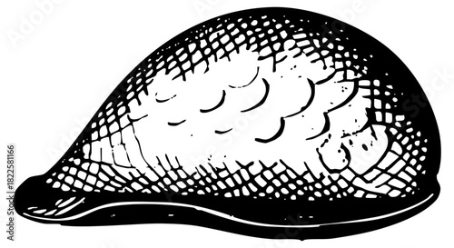 Armadillo protection in nature