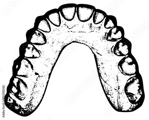 Teeth arrangement illustrates dental health concepts