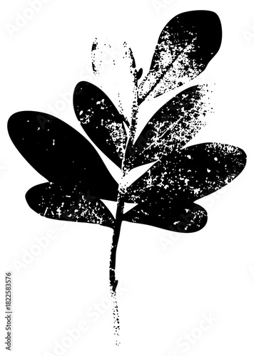 Leaf illustration texture in a botanical study