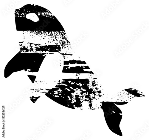 Dolphin leaps playfully in ocean waves