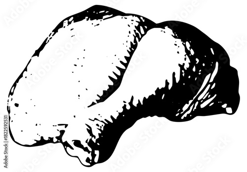 Mushroom illustrates texture for botanical studies