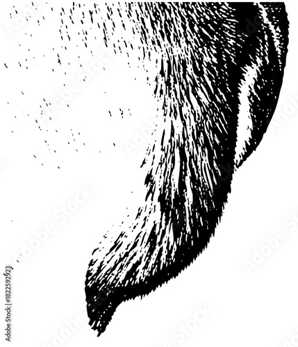 Gorilla profile gazes intently into a jungle habitat