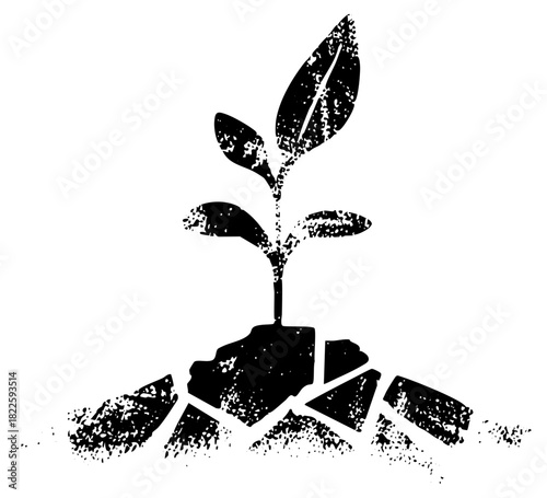 Plant sprouts growth in cracked earth
