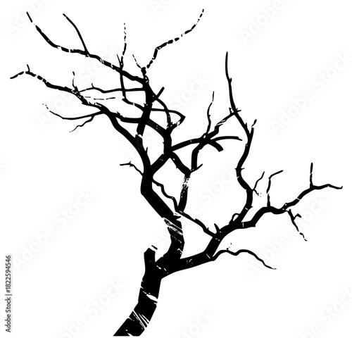 Bare Tree Branches Extend into Winter Landscape