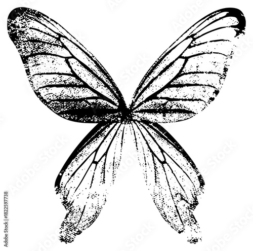 Butterfly wings in illustration