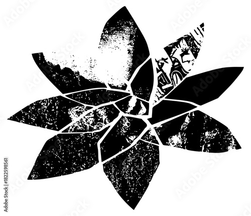 Flower Breaks Apart in Distressed Texture