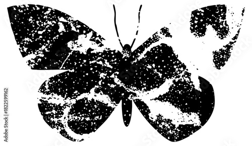 Butterfly texture in distressed