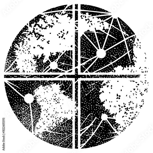 Citrus slices display freshness in a geometric composition