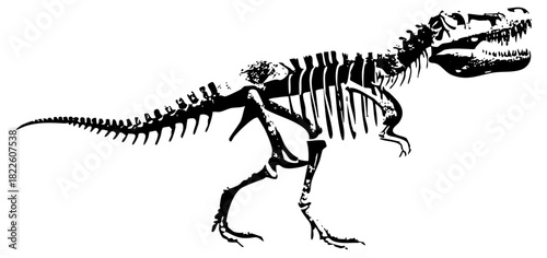 Dinosaur skeleton illustrates prehistoric life in a museum display