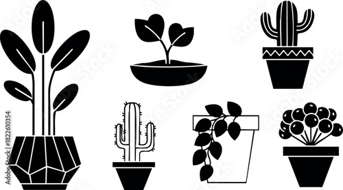 Black silhouette vector icons of different potted plants and cacti