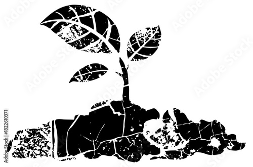 Plant grows from cracked pot texture