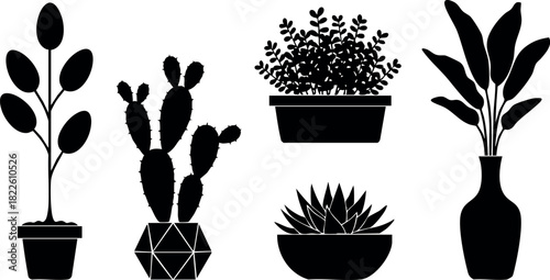 Silhouette of potted plants including cactus and leafy houseplants vector illustration