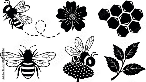 Black and white bee flower and honeycomb vector illustration