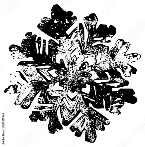 Snowflake complexity in winter