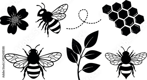 Black and white bee flower leaf and honeycomb vector set
