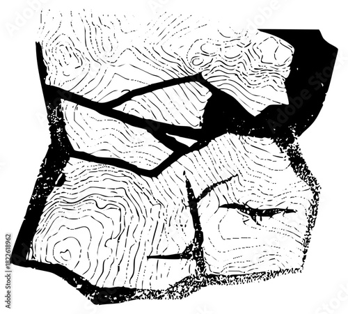 Portrait Illustrates Reflection in Abstract Composition