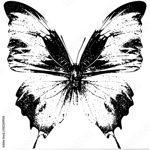 Butterfly texture in illustration