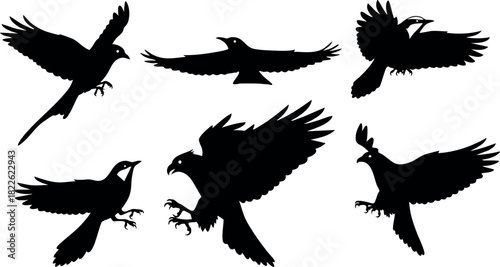 Black silhouette birds in flight vector illustration