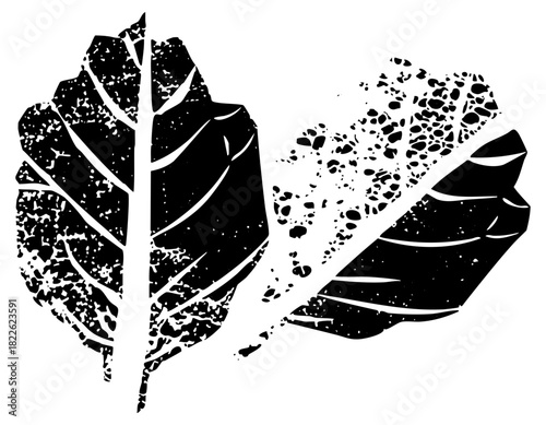 Leaves Transform into Particles in a Botanical Illustration