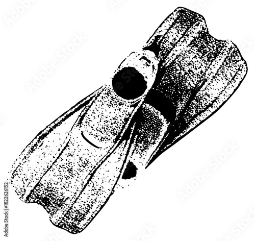 Swim Fins Display Power in Aquatic Recreation