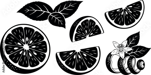 Black and white lemon slices with leaves and flower vector illustration