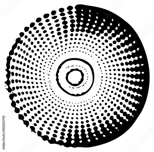 Abstract Spiral radiates halftone