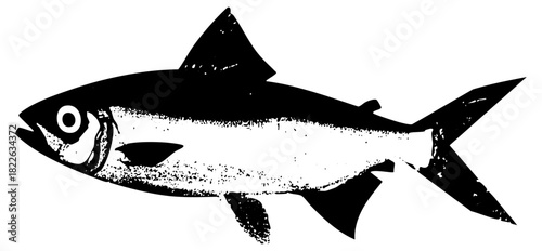 Fish Illustrates Aquatic Life in Oceanography