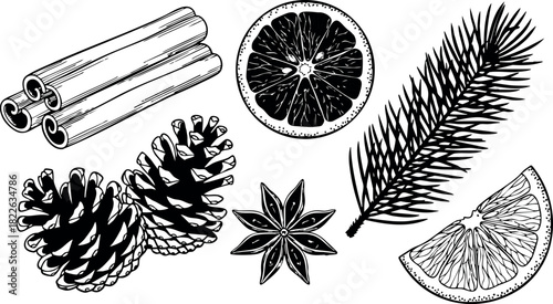 Hand drawn vector set of pine cones cinnamon sticks anise star citrus slices and pine branch