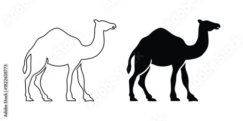 Camel Silhouette and Outline Vector. Desert Animal Illustration. Camel Outline Drawing and Solid Silhouette