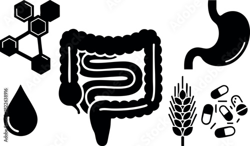 Human digestive system icon set with stomach intestine pills and wheat elements
