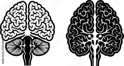 Human brain anatomy black and white vector illustration
