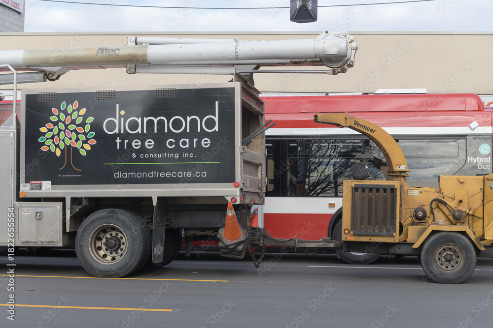 Fototapeta premium Diamond Tree Care with wood chipper on Eglinton Av W, in Toronto