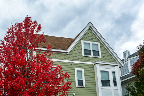 A single-family house facade with green siding stands beside a striking red autumn maple tree in the Brighton area of Boston, Massachusetts, USA
