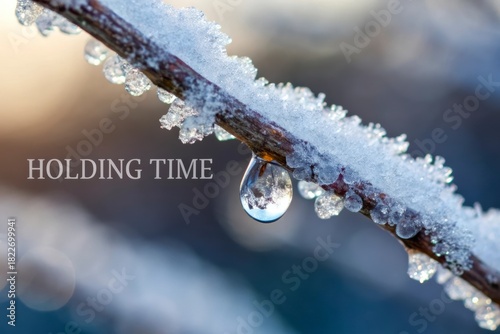 A frozen droplet held on a snowy branch in winter