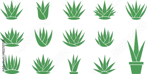Aloe vera icons set Vector