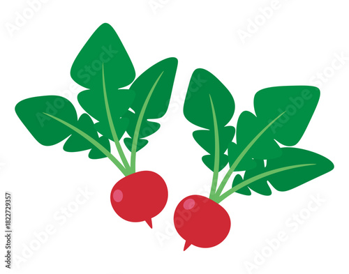 ラディッシュ　２個