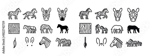 Zebra patterns and icons: heads, full bodies, and stripes in black and white illustration