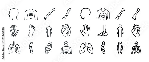 Collection of human anatomy outline icons - bones, organs, skeleton