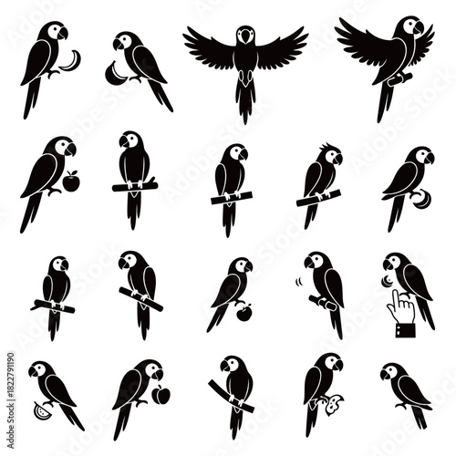 Large Collection of Macaw Parrot Silhouettes in Various Actions and Poses