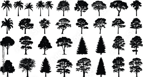 Detailed silhouettes of various trees, including palm, oak, maple, and pine, isolated on white, great for vector illustration, nature design, architecture, and 