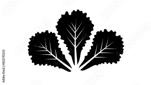 Vector illustration of black and white silhouette icon of three ruffled lettuce or leafy green vegetable leaves isolated on transparent background