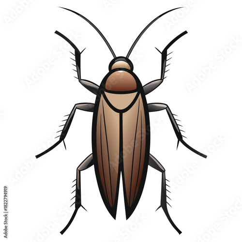 Brown Cockroach Insect Illustration on White Background pest creepy crawly